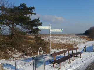 Ruhe im Winter