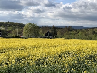 Frühlingszauber. Blick auf das Ferienhaus