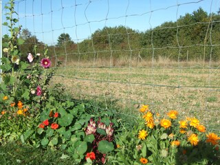Casa per le vacanze Trier Registrazione all'aperto 10