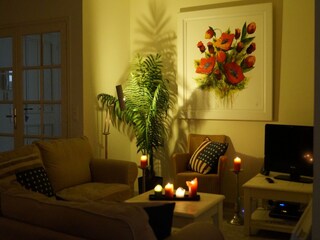 Villa Anthéor Caratteristiche 13