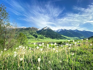 Ferienhaus Piesendorf Umgebung 55