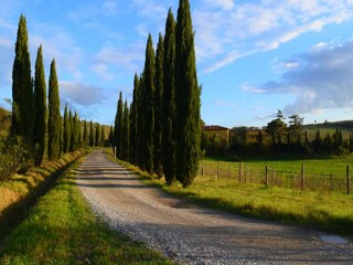 Type de propriété : Ferme Vinci Équipement 15