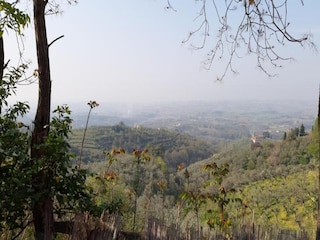 Fattoria Vinci Ambiente 29