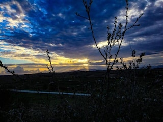 Type de propriété : Ferme Vinci Environnement 33