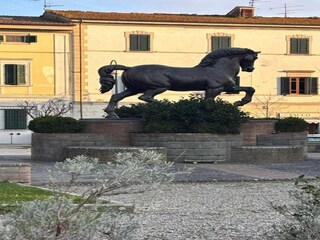 Fattoria Vinci Ambiente 19