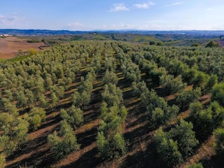 Farmhouse Vinci Environment 23
