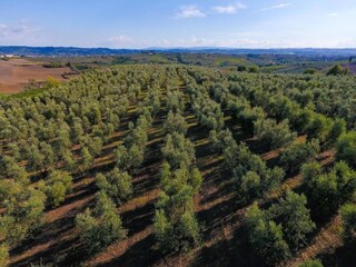 Type de propriété : Ferme Vinci Environnement 22