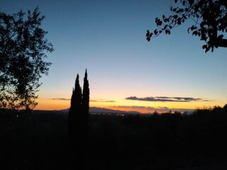 Fattoria Vinci Ambiente 28