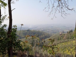 Fattoria Vinci Ambiente 30