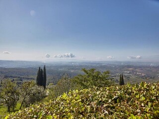 Casa de campo Vinci Entorno 26