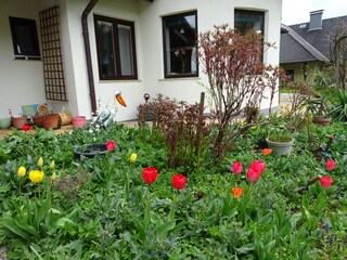 Vorgarten im Frühling