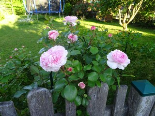 Vakantieappartement Gmunden Buitenaudio-opname 14