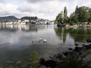 Appartamento per vacanze Gmunden Ambiente 37