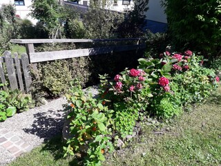 Vakantieappartement Gmunden Buitenaudio-opname 18