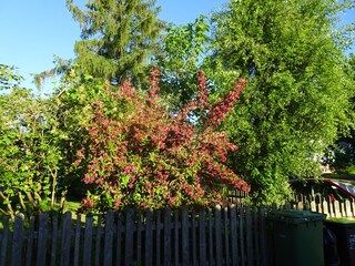 Vakantieappartement Gmunden Buitenaudio-opname 23