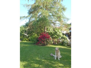 Vakantieappartement Gmunden Buitenaudio-opname 11