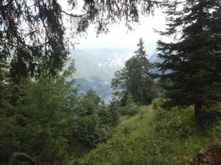 Wandern am Feuerkogl