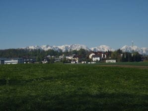 Vakantieappartement Ilse Pesendorfer - Gmunden - image1