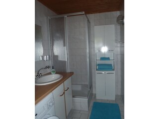 Appartamento per vacanze Gmunden Caratteristiche 29