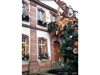 Ferienwohnung Ribeauvillé Außenaufnahme 6