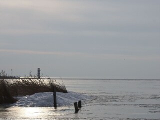 Appartamento per vacanze Illmitz Ambiente 19