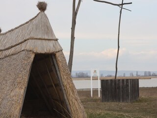 Appartamento per vacanze Illmitz Ambiente 20