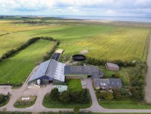 Ferienwohnung Früchtnicht - Midlum auf Föhr - image1