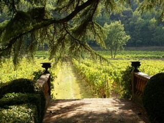 Vakantiehuis Saint-Antonin-du-Var Omgeving 22