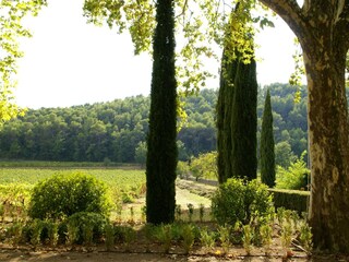 Holiday house Saint-Antonin-du-Var Environment 25