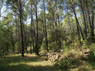 Maison de vacances Saint-Antonin-du-Var Environnement 35