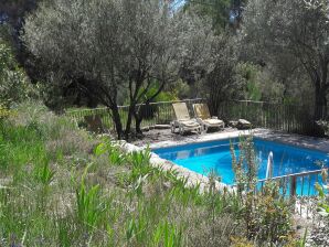 Ferienhaus in Var mit Privatpool - Saint-Antonin-du-Var - image1