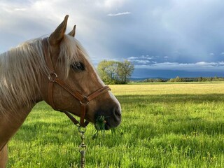 Holiday house Kulmbach Environment 28