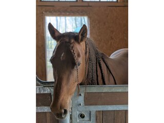 Holiday house Kulmbach Environment 31