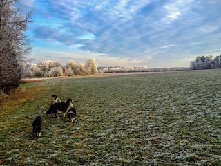 Surroundings (the holiday home is in the background)