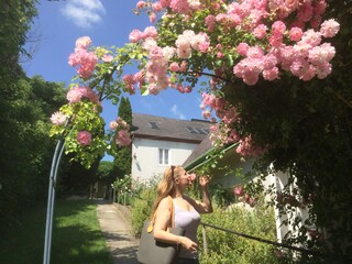 Vakantieappartement Klosterneuburg Buitenaudio-opname 5