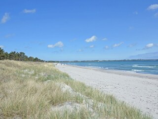 Sandstrand Schaabe 2,5km entfernt