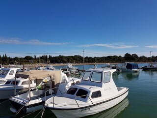 Casa per le vacanze Rovinjsko Selo Ambiente 29