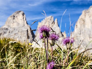 Appartamento per vacanze St. Christina Ambiente 24