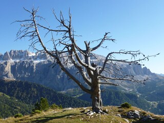 Appartamento per vacanze St. Christina Ambiente 22