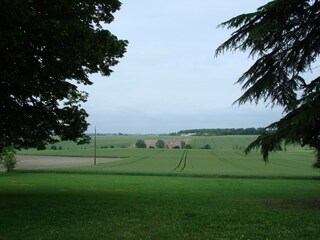 Villa Cussay Entorno 37