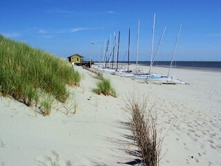 Vakantiehuis Ballum Omgeving 19