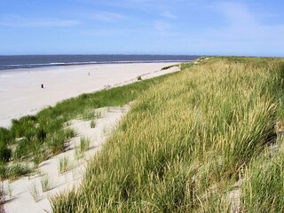 Vakantiehuis Ballum Omgeving 20
