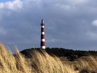 Vakantiehuis Ballum Omgeving 21