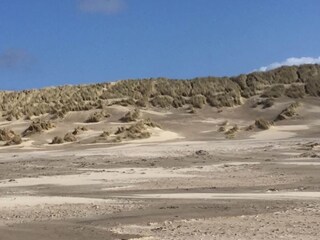 Vakantiehuis Ballum Omgeving 24