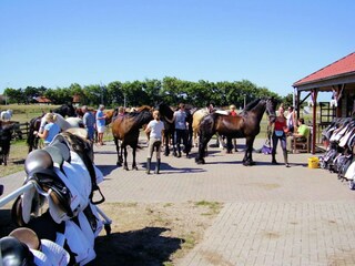 Casa per le vacanze Ballum Ambiente 21