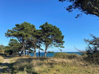 Maison de vacances Vejby Strand  6