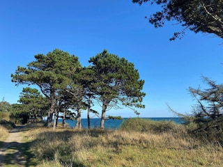 Vakantiehuis Vejby Strand  7