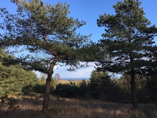 Ferienhaus Vejby Strand  13