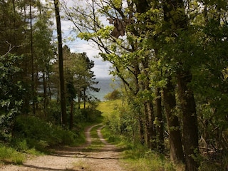Ferienhaus Vejby Strand  14