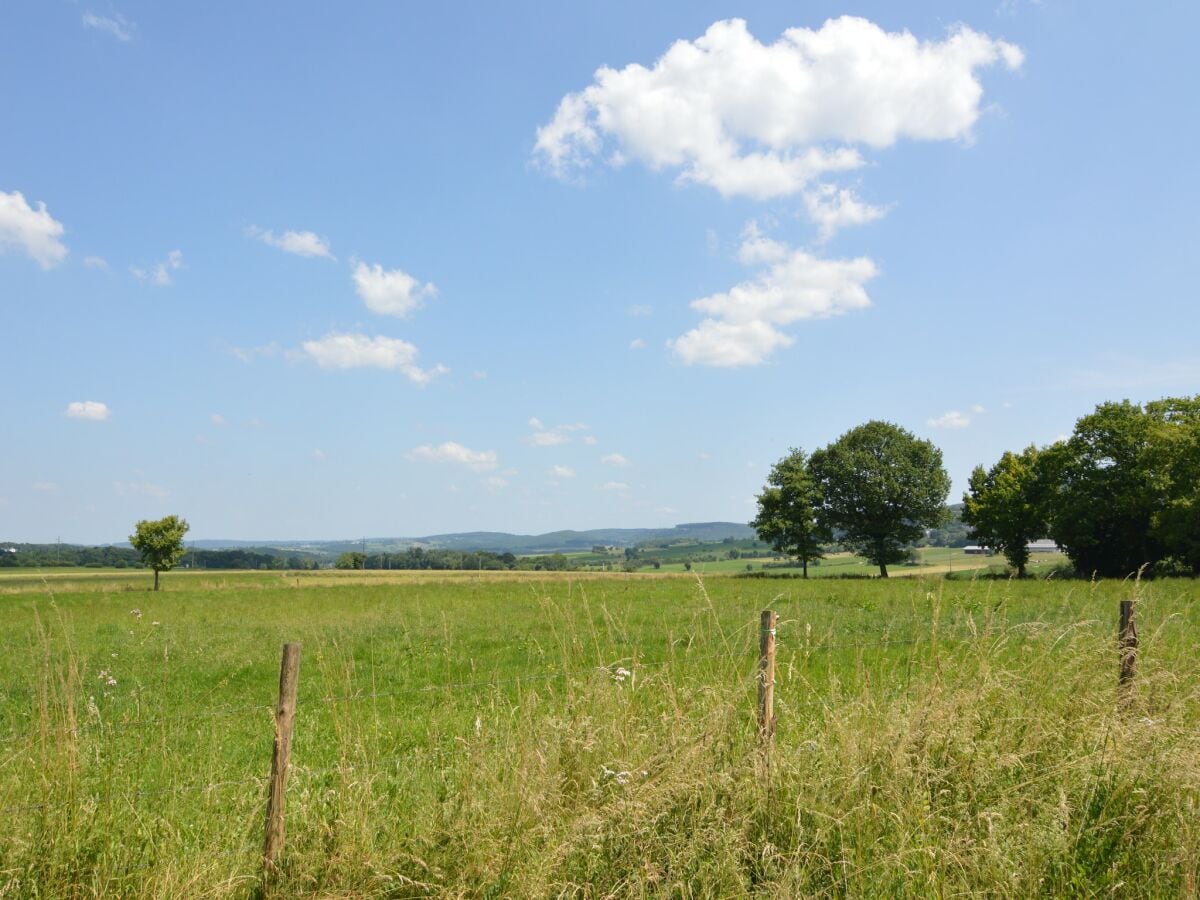 Ferienhaus Erezée Umgebung 25